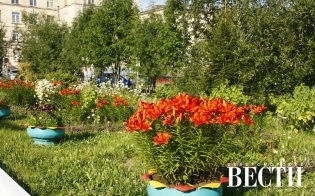 В "пенсионном" саду