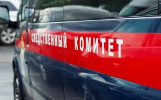 Проводится процессуальная проверка
