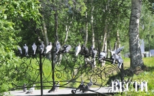 Прогноз погоды на 12 июля