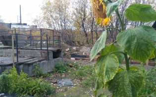 Второе солнце