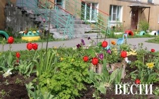 Цветник во дворе дома