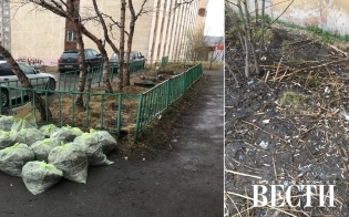 Один дом - разное отношение