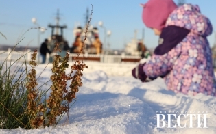 Прогноз погоды на 24 октября