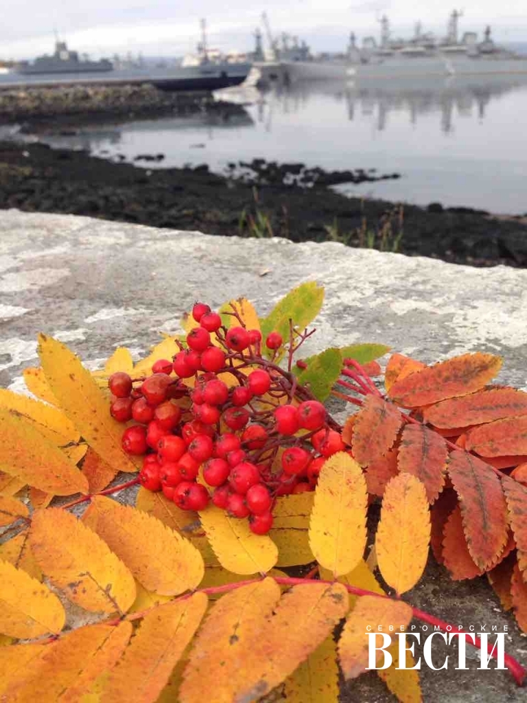 североморск конкурсы