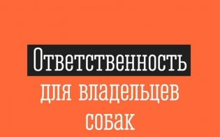 ������� ������ ����