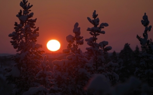 ������� ������ �� 8 �����