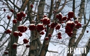 ������� ������ �� 30 �������