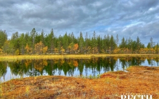 ���� �������� �������������