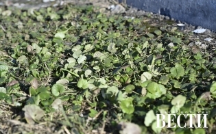 ������� ������ ��  1 ������