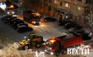 ������ ������ ������ �� 12 ������