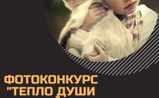  "  ..."