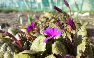 ������� ������ �� 21 ���