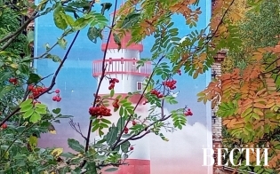    25 