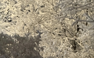 ������� ������ �� 26 ������