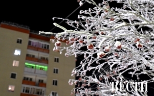 ������� ������ �� 24 ������