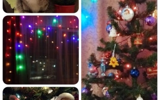 "���������� ������" �� ��������� �����������