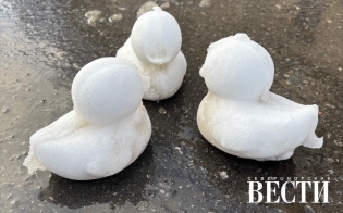 ������� ������ �� 28 ������