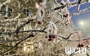 ������� ������ �� 29 ������