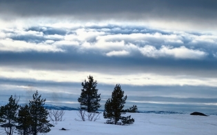 ������� ������ �� 20 �����