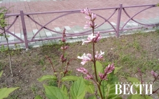 Прогноз погоды на 4 июля