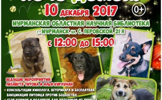 Собаки в библиотеке ждут будущих хозяев