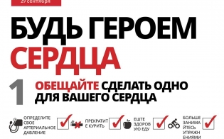 29  -   
