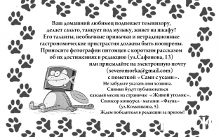 ����������� "���� � �����"
