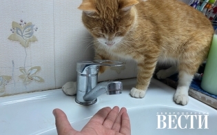 �������� ������� �� ��������