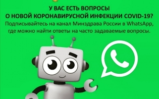 -  WhatsApp