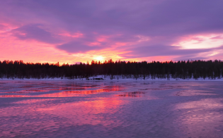 ������� ������ �� 28 ������� 