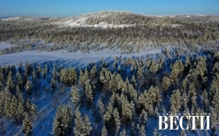 ������� ������ �� 25 ������� 