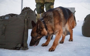 ������������ ����� ���������