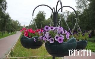 ������� ������ �� 9 �������