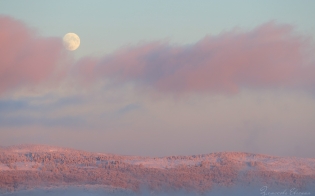 ������� ������ �� 6 �������