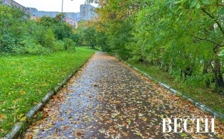 ������� ������ �� 23 ��������