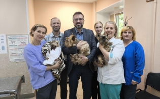 ��������� ���������� �������� ��������� �����������