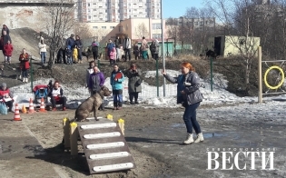 Доброе шоу