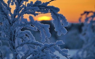 ������� ������ �� 23 ������