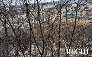 ������� ������ �� 30 ������