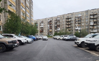 ������ ������