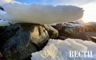 ��� ��������