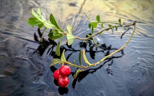 Прогноз погоды на 31 октября