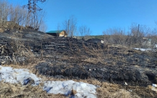 ��� ����� - ��� ������!