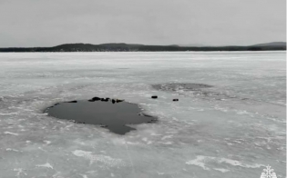 �� �������� �� ������ ���