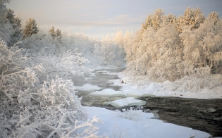 ������� ������ �� 10 ������