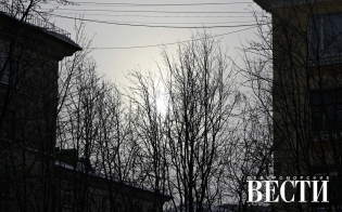 ������� ������ �� 6 �����