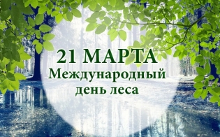 21  -  
