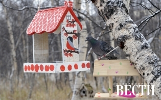 ������� ������ �� 25 �������