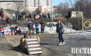 �������� ��� ����� - �� ������