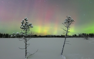 ������� ������ �� 26 ������